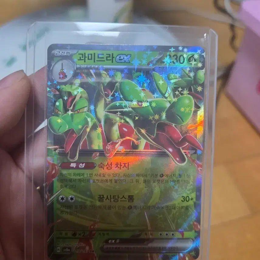 [BUNJANG] Pokemon Card Groudon EX RR Card / 포켓몬 카드 과미드라 EX RR카드