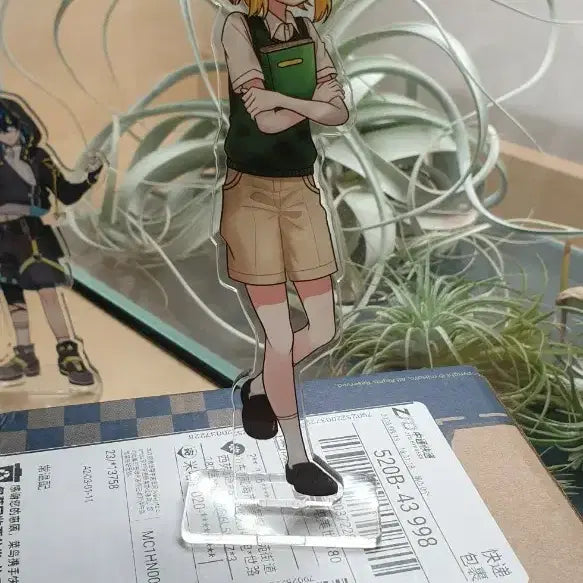 [BUNJANG] OMORI Basil Acrylic Stand / 오모리 바질 아크릴 스탠드