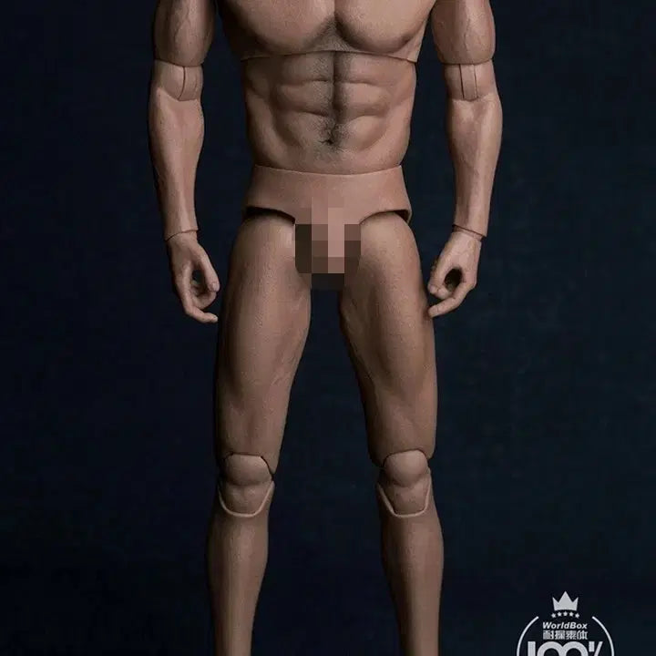 [BUNJANG] 1/6 Scale Figure Body / at017 바디