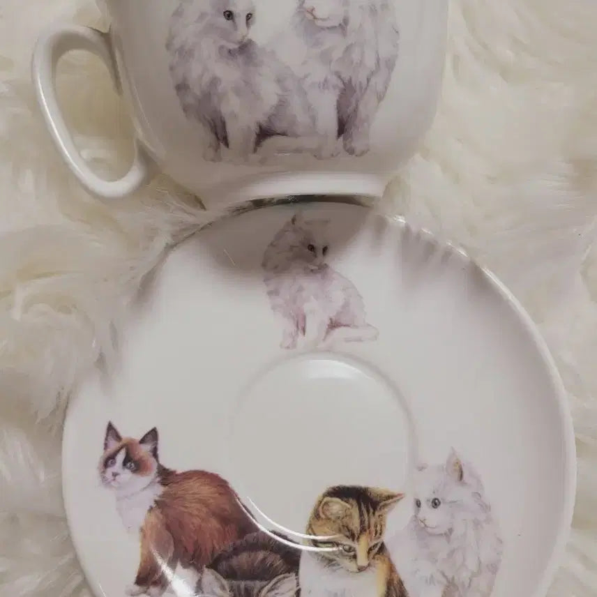 [BUNJANG] Vintage Cat Teacup Set / 수입