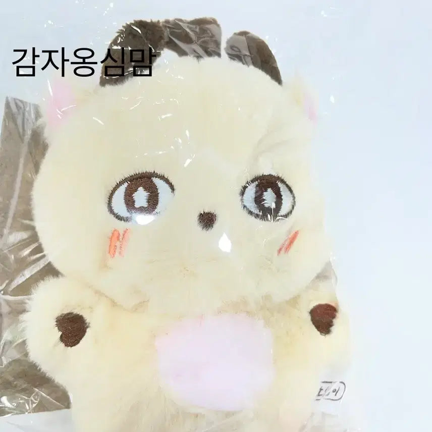 [BUNJANG] Park Jihoon &