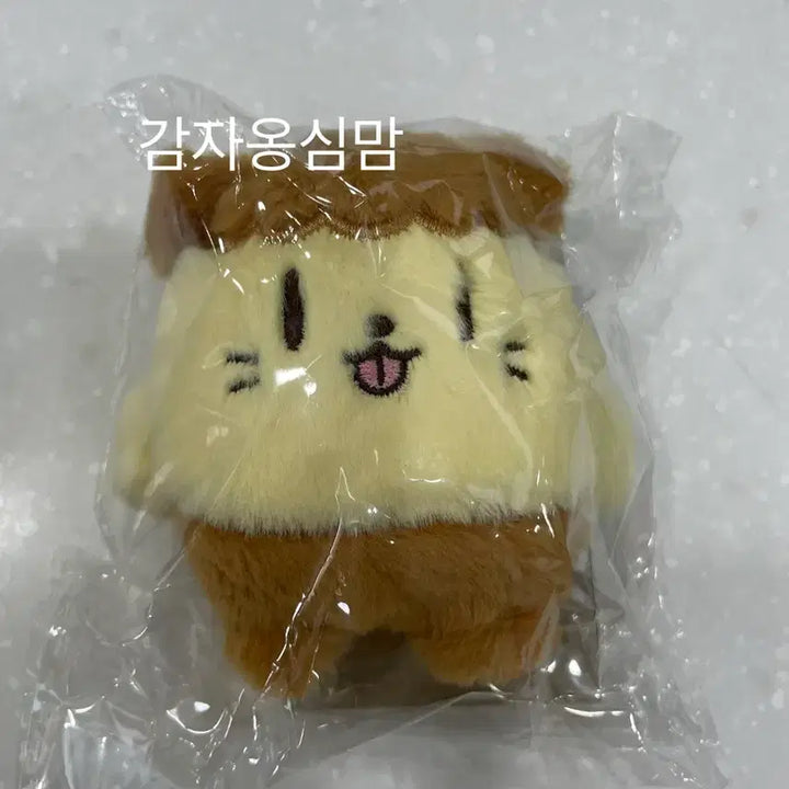 [BUNJANG] Park Ji Hoon Bbuumi Doll / [새상품] 박지훈 뿌움이