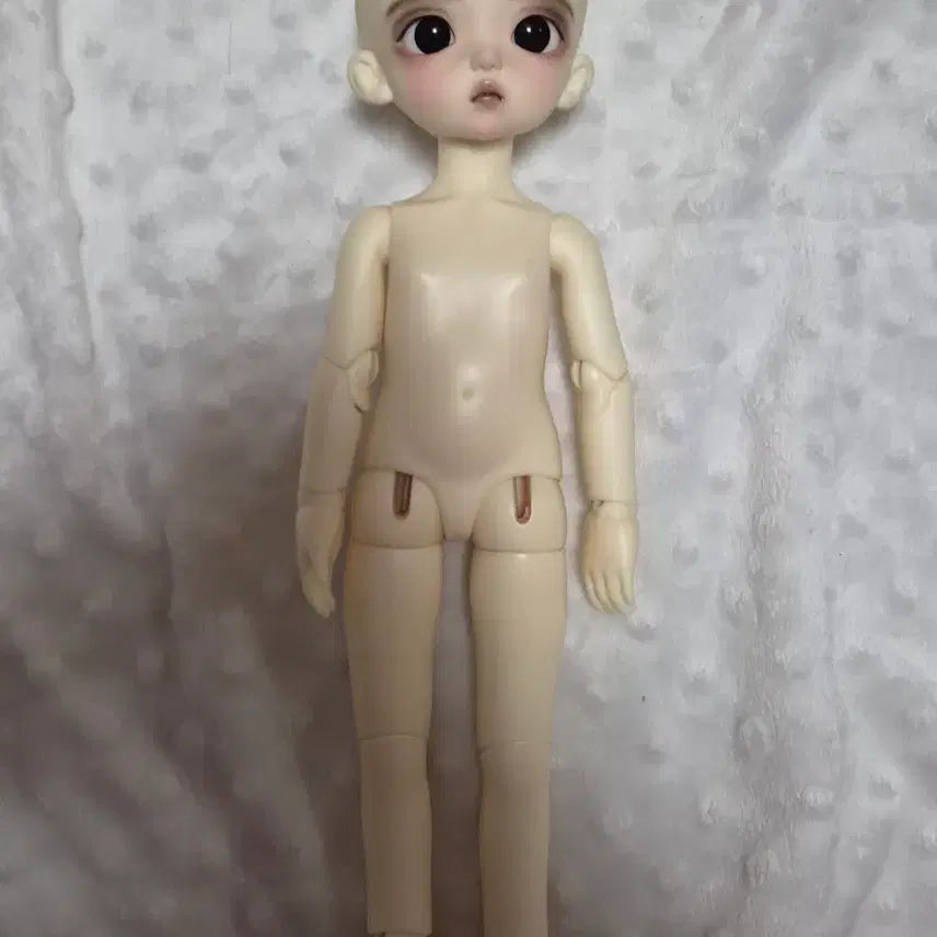 [BUNJANG] Luts Madeleine Doll Friend / 구체관절인형