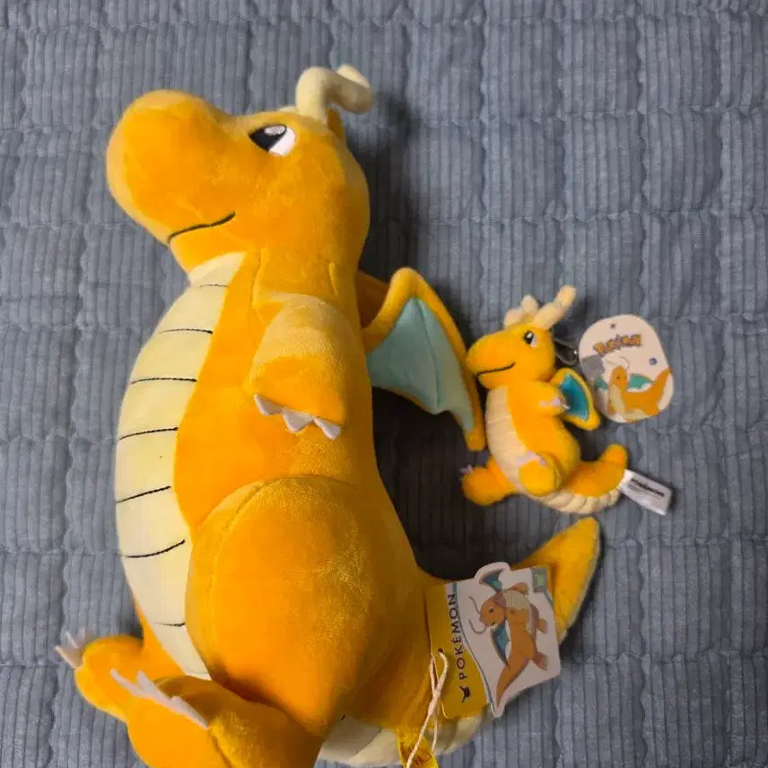 [BUNJANG] Pokemon Dragonite Plush Set / 포켓몬스터 망나뇽 인형 세트