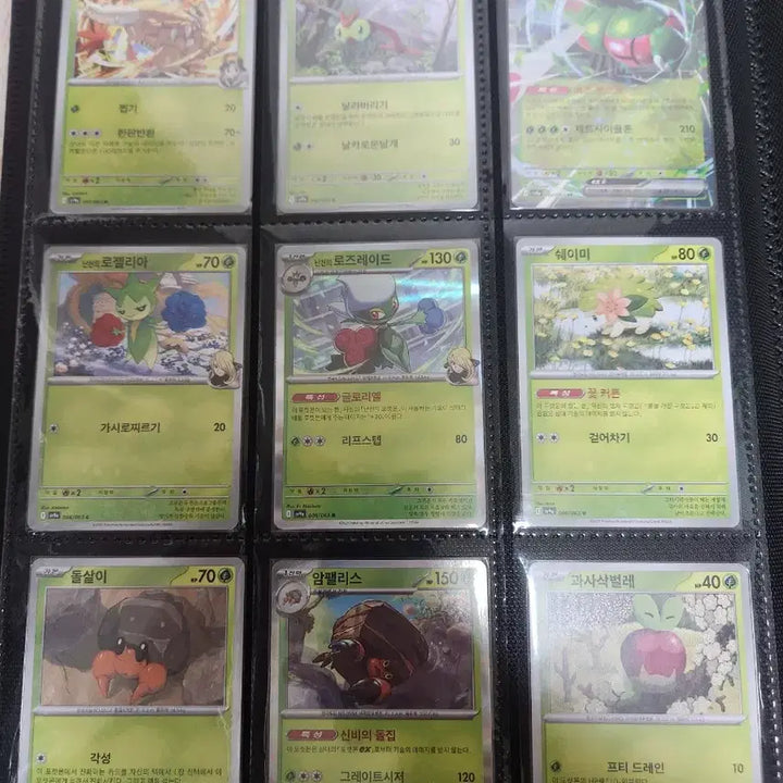 [BUNJANG] THE ARENA Full Set (63 cards) Bundle Set / 열풍의아레나 일반카드 전종 63장 일괄