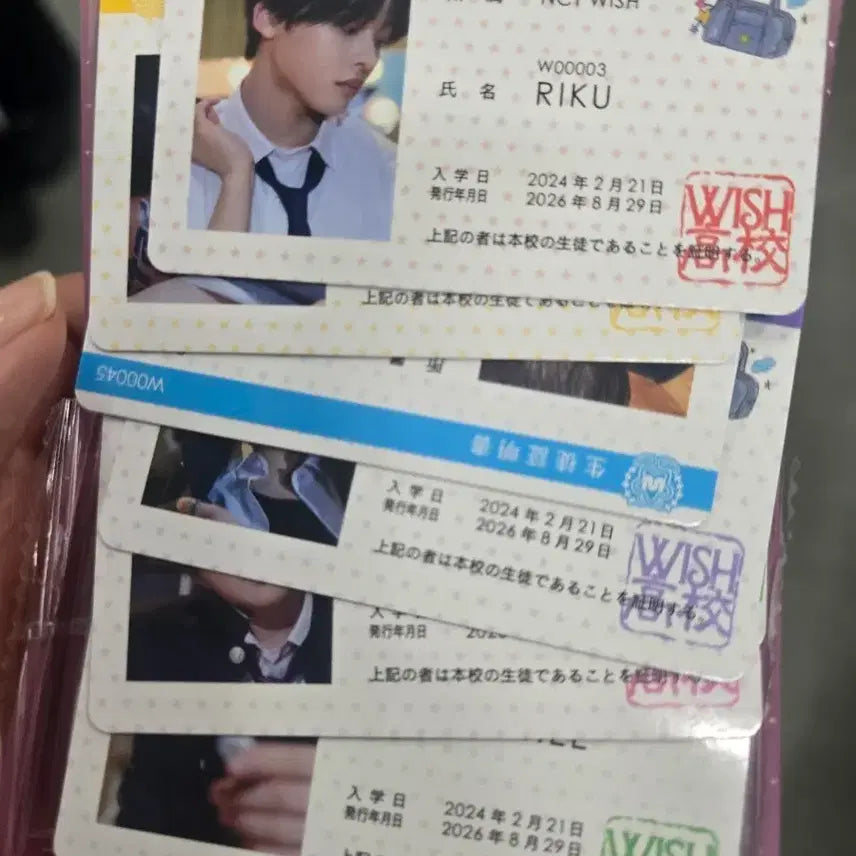 [BUNJANG] NCT WISH Gakuran Event Student ID Card 6-Piece Bundle Set / 엔시티위시 가쿠란 전달회 학생증 6장 세트 일괄 양도 판매