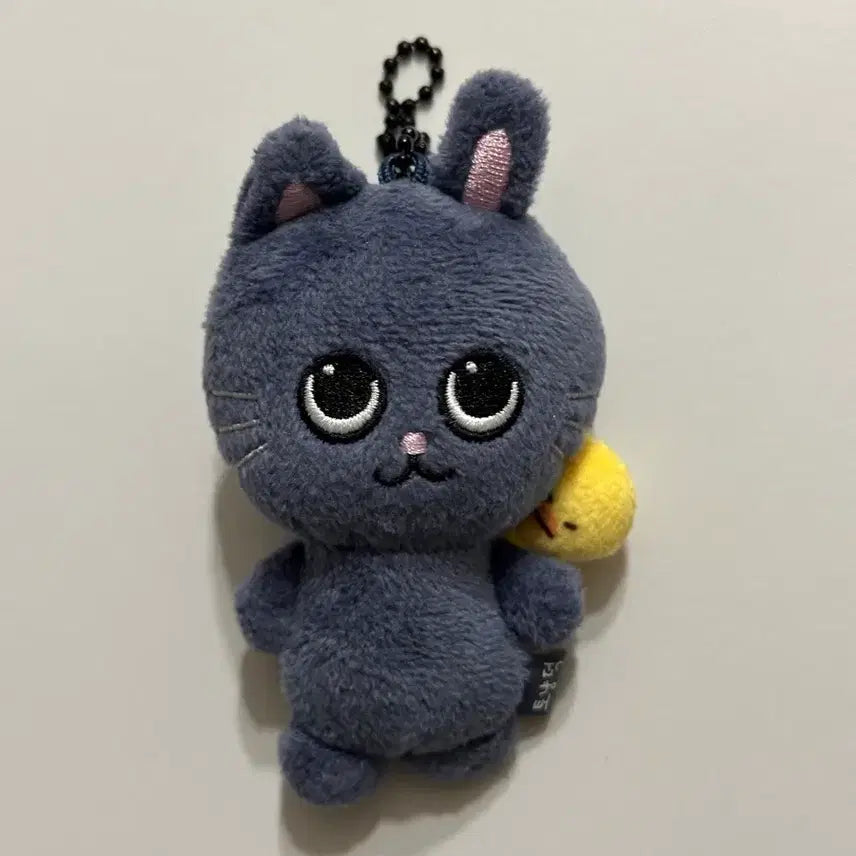 [BUNJANG] RIIZE Wonbin LittleRIIZE Cat Plush 8cm / 라이즈 원빈 리틀라이즈 토냥덕 8cm