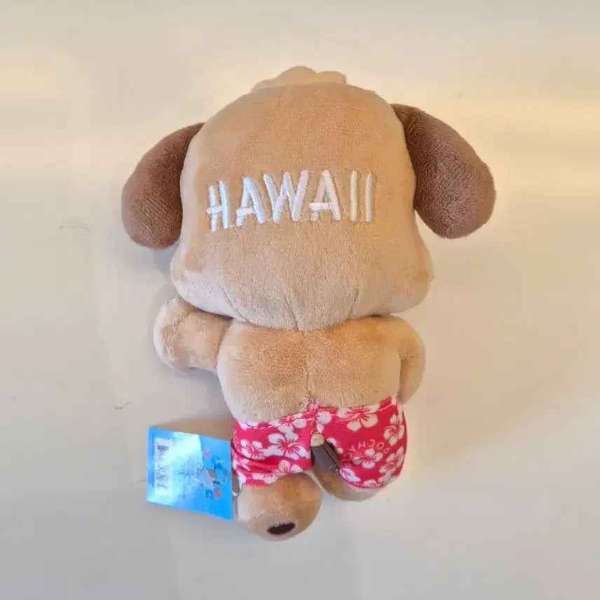 [BUNJANG] Pochacco Hawaii Tanning Doll (Authentic) / 하와이 태닝 포차코 인형(정품)