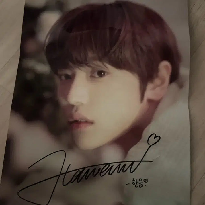 [BUNJANG] Jang Han-eum Florist 2024 Signed Poster / 장한음 플로리스트 2024 싸인포스터