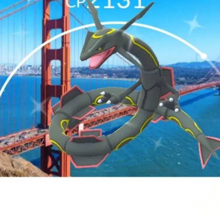 [BUNJANG] Pokemon GO Shiny Rayquaza San Francisco Background / 포켓몬고 센프란시스코 이로치 배경 레쿠자 팝니다.