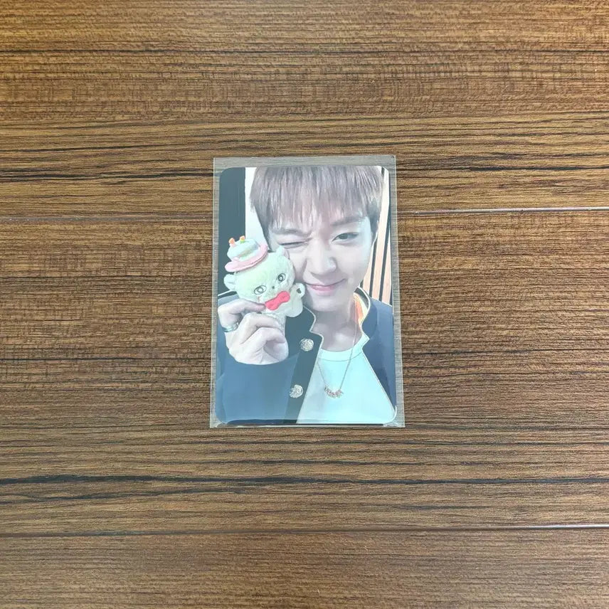 [BUNJANG] Park Jihoon Soundwave Lucky Draw Photocard / 박지훈 소심이 사운드웨이브 팝업 특전 포카 포토카드 미공포