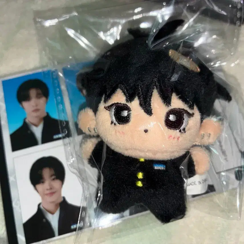 [BUNJANG] Maeda-kun 8cm Riku Plush Doll / 마에다군 8cm 리쿠 인형