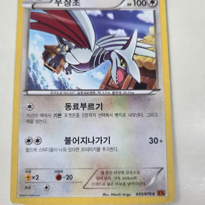 [BUNJANG] Pokemon Card Articuno XY Series / 포켓몬 카드 무장조 XY시리즈