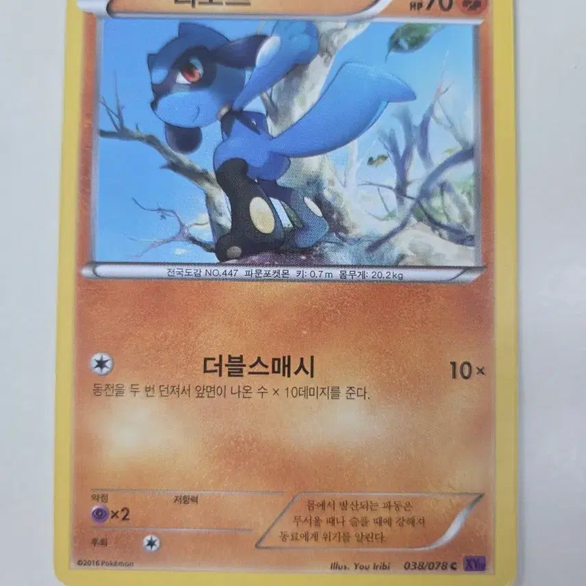 [BUNJANG] Pokemon Card Riolu XY 038/078C / 포켓몬카드 리오르 XY 038/078C