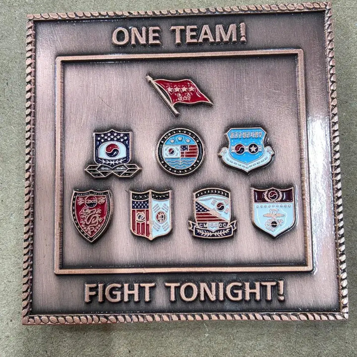 [BUNJANG] Combined Forces Command Commemorative Coin / 연합사 기념코인 군대 코인 부대코인