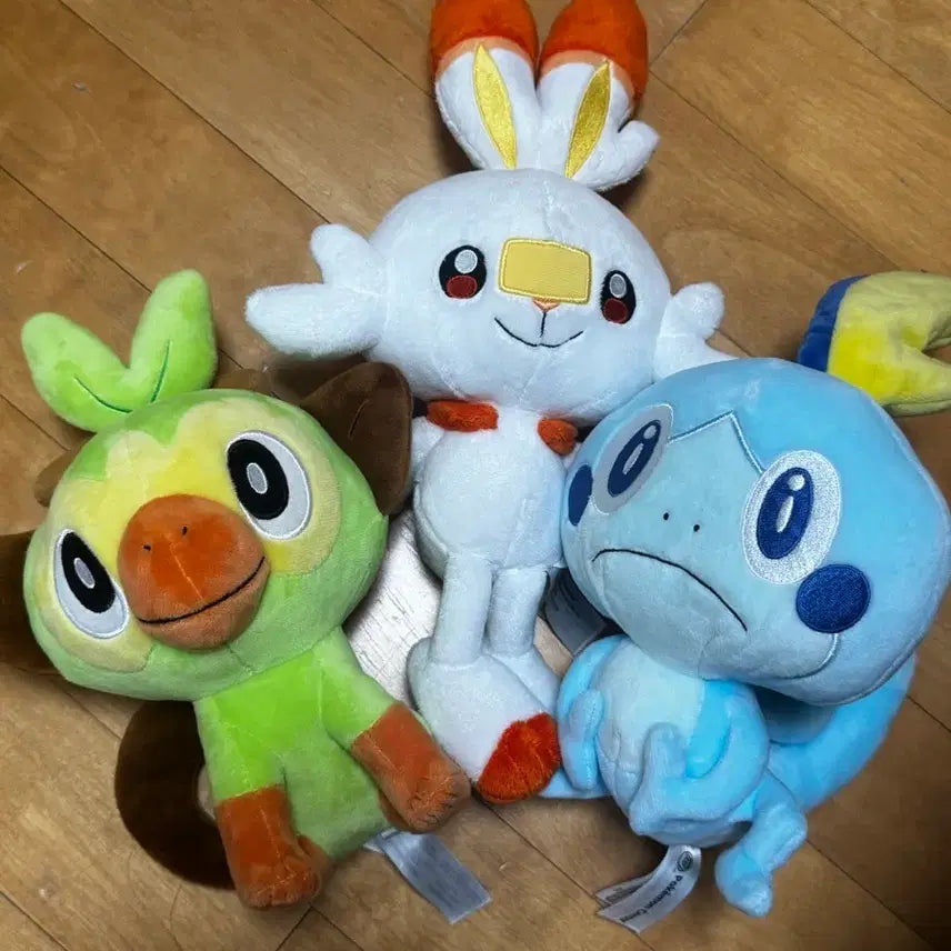 [BUNJANG] Pokemon Starter Pokemon Plush Set (Scorbunny, Drizzile, Rillaboom) / 포켓몬 스타팅 3종 인형 일괄 (염버니,울머기,흥나숭)