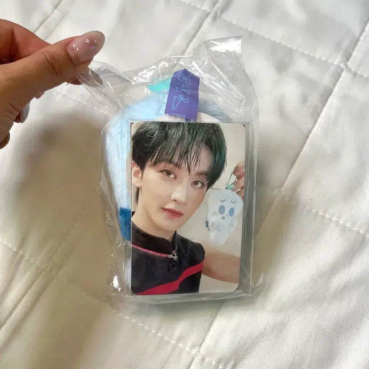 [BUNJANG] NCT DREAM Mark Plush Doll / 엔시티드림 마크 인형
