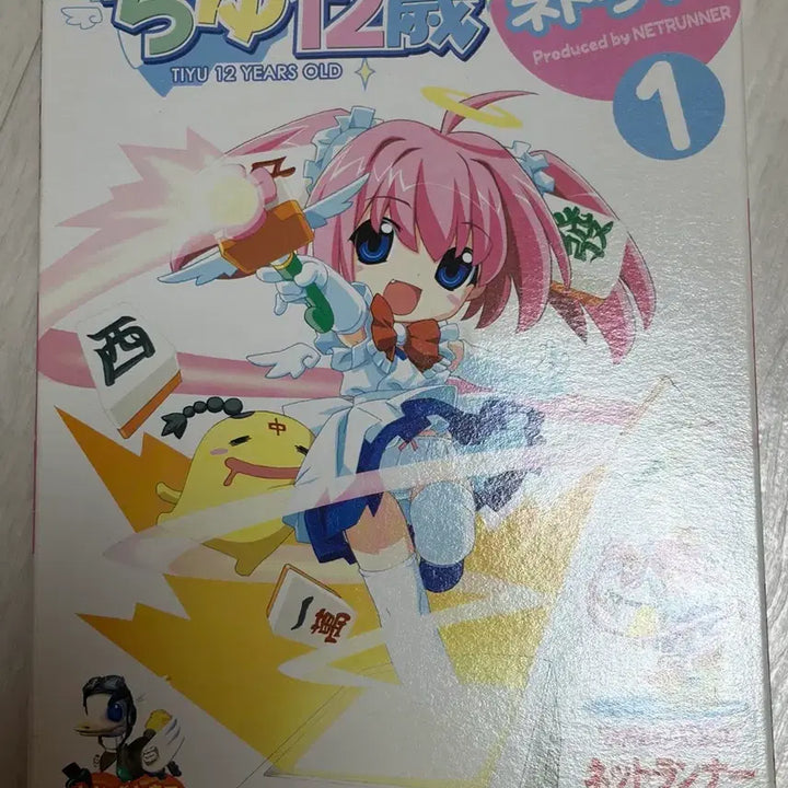[BUNJANG] Chiyu 12-Year-Old NETRUN Classic Bishoujo Figure (Sealed) / (미개봉) 치유 12세 NETRUN 넷런 고전 미소녀 피규어