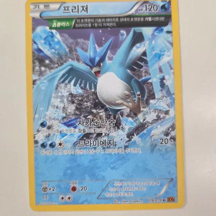 [BUNJANG] Pokemon Card Articuno XY Series / 포켓몬카드 프리져 XY시리즈