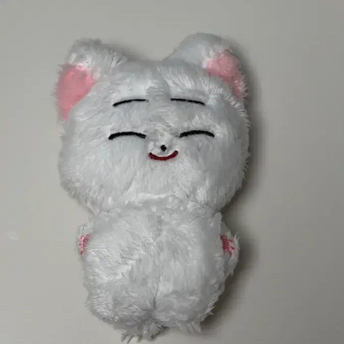 [BUNJANG] ENHYPEN Sunoo Korean Plush Doll / 엔하이픈 선우 한국폭 인형