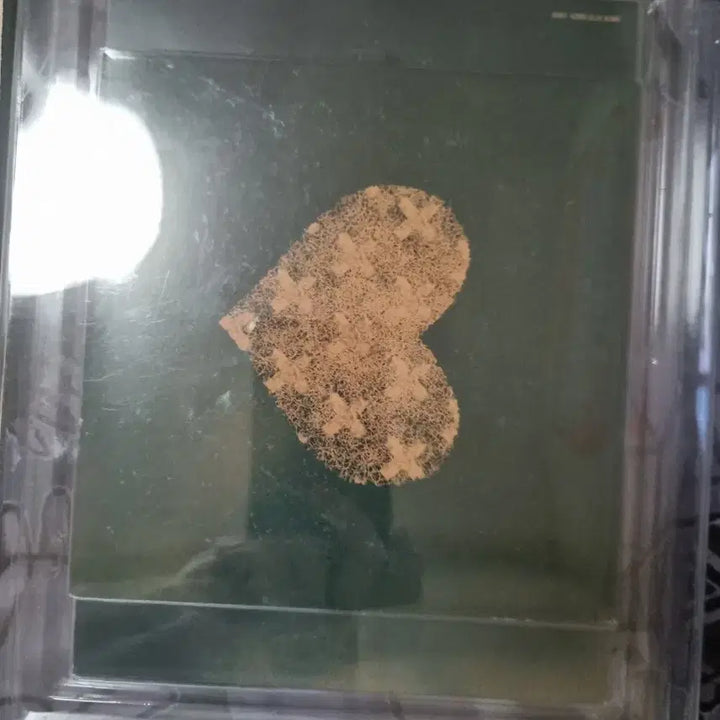 [BUNJANG] Yonezu Kenshi Bremen Artbook Edition CD / 요네즈 켄시 - 정규 3집 -Bremen 화집반