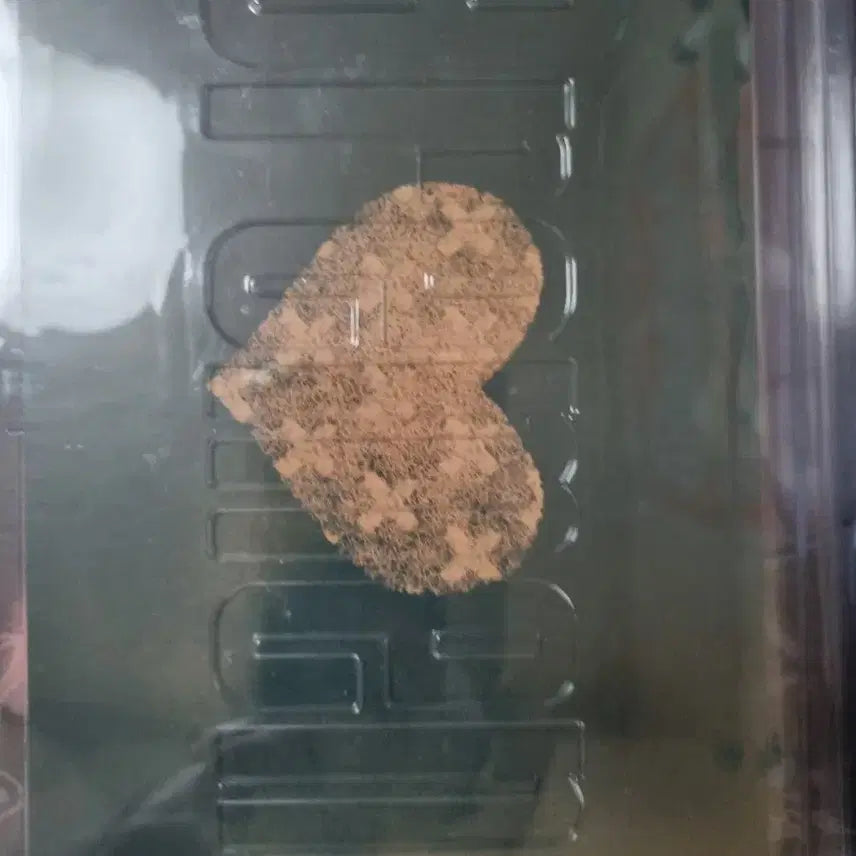 [BUNJANG] Yonezu Kenshi Bremen Artbook Edition CD / 요네즈 켄시 - 정규 3집 -Bremen 화집반