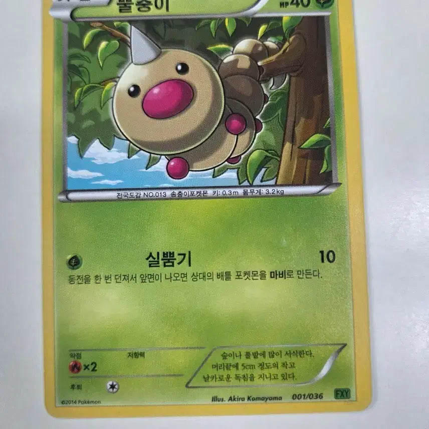 [BUNJANG] Pokemon Card XY Series Pinsir 001/036 / 포켓몬카드 XY시리즈 뿔충이 001/036