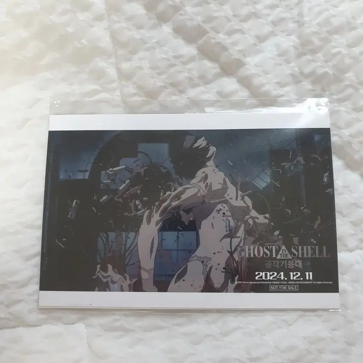 [BUNJANG] Ghost in the Shell Special Edition Postcard Set (3 Types) / 공각기동대 특전 엽서 3종 세트