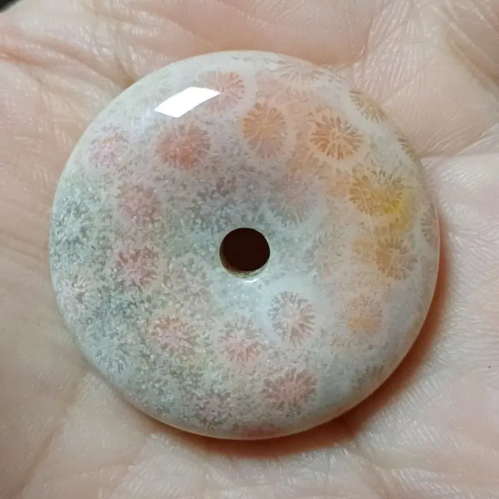 [BUNJANG] Fossil Coral Ammonite Pendant / 원석 산호 화석 포실 코랄 산호옥  평안구 B