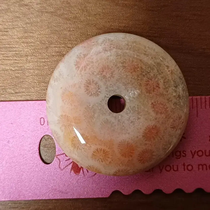 [BUNJANG] Fossil Coral Ammonite Pendant / 원석 산호 화석 포실 코랄 산호옥  평안구 B