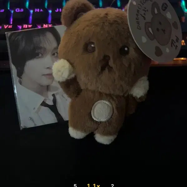 [BUNJANG] NCT Haechan Official Doll Kkumi Photocard Bundle / NCT 해찬 공식인형 꾸미(급처)