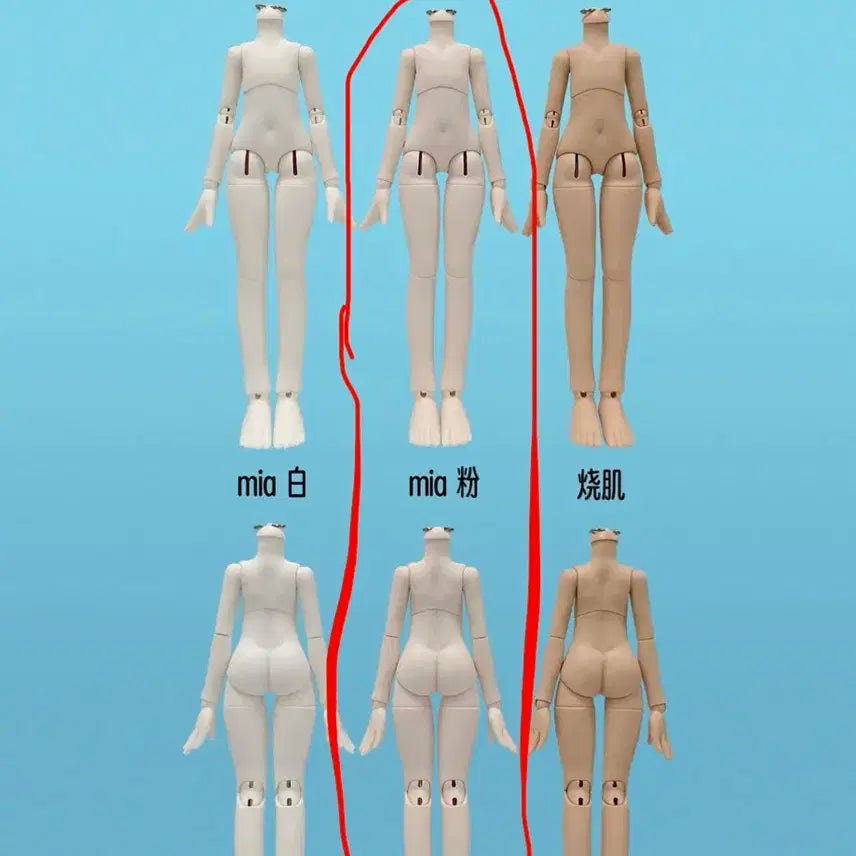[BUNJANG] Xiaolingdang 28cm 1/6 Scale Ball Jointed Doll Body with Hand Parts / 샤오링당 28cm 1/6 구체관절인형(bjd) 바디 손파츠 포함