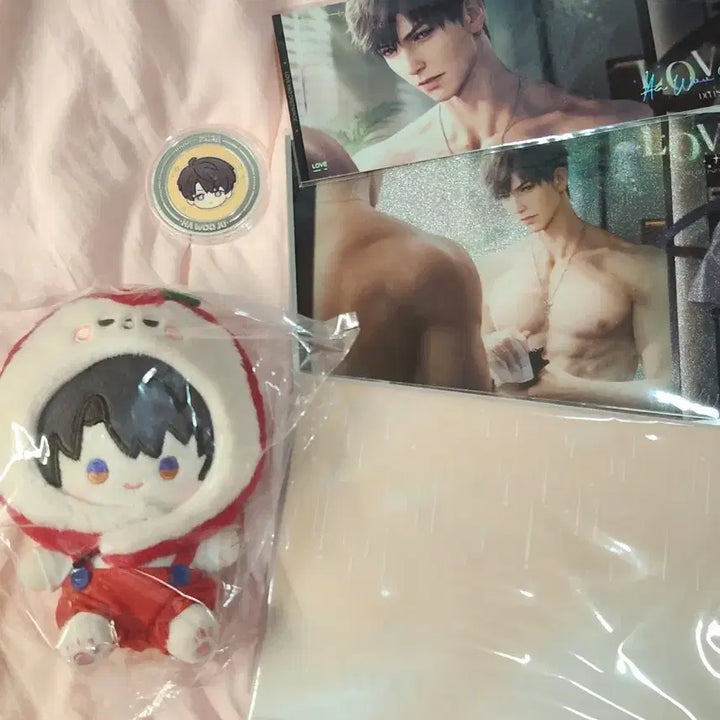 [BUNJANG] Love and Deepspace 2025 VIP Korea Version Howoo Split Set / (오늘만) 러브앤딥스페이스 2025년 VIP 한국판 하우주 소분 양도 (럽딥)