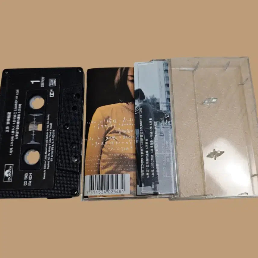 [BUNJANG] Faye Wong Cassette Tape / 왕정문 카세트 테이프 왕페이 Faye Wong