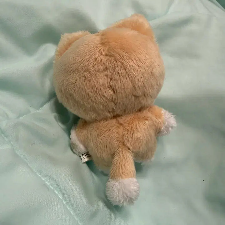 [BUNJANG] DAY6 Young K Kkangeuni Doll / 데이식스 영케이 인형 깡냥이