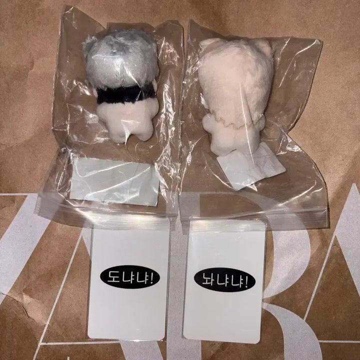 [BUNJANG] Plaive Noah Eunho Unofficial Donya Donya Nwa Nya Nya Bundle Set Photocard (Sealed) / 플레이브 노아 은호 비공식 도냐냐 놔냐냐 특전 일괄 미개봉