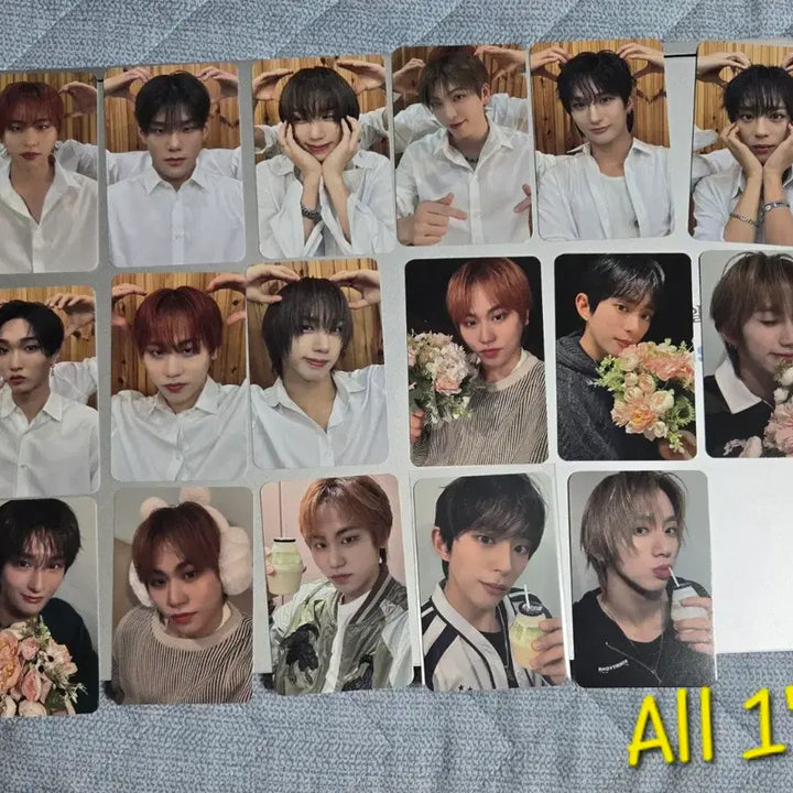 [BUNJANG] DKB GK Photocard Bundle Set (Urban Ride) / [일괄] 다크비 GK 위주 포카 246장 세트 (플러팅) / WTS DKB GK photocard bulk
