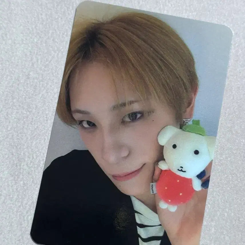 [BUNJANG] XLOV (Xclusive) Doyoung Photocard / 엑스러브 XLOV 하루 딸기가나디 미공포 포카