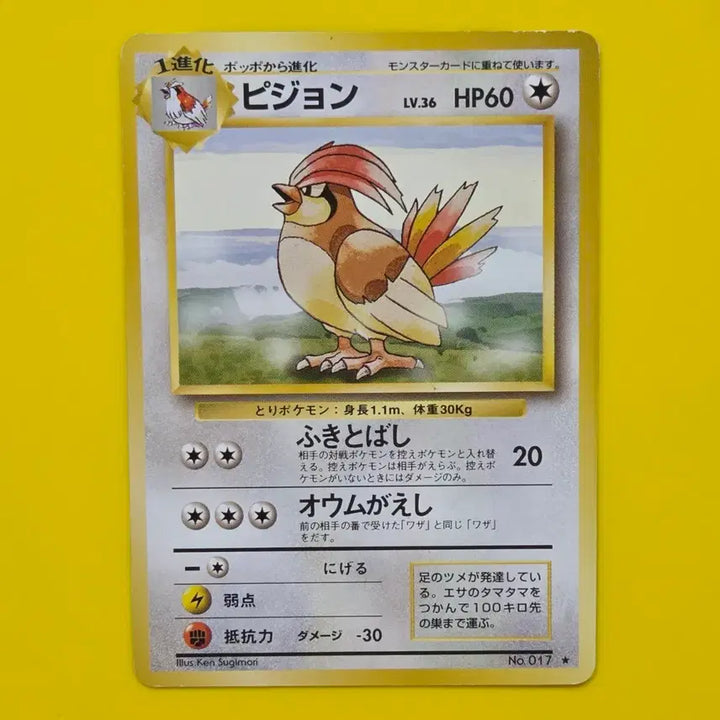 [BUNJANG] Pokemon Card 1996 Pidgeon Original Japanese / 포켓몬카드 1996 피죤 초기카드 일판 일본판