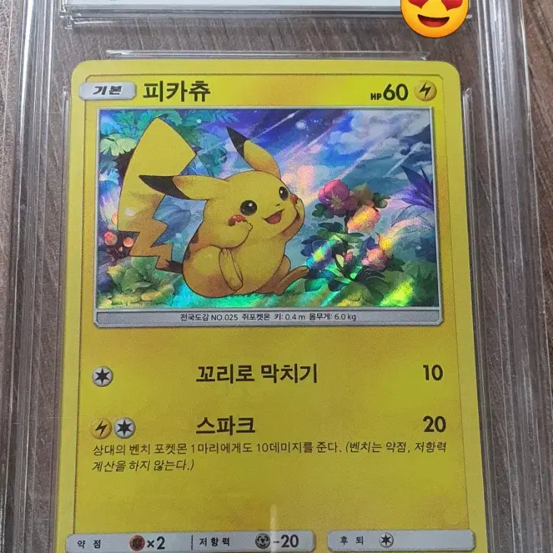 [BUNJANG] Pokemon 2017 Pikachu Promo Card / 포켓몬 카드 2017 피카츄 프로모 + 유니온 이상해세트