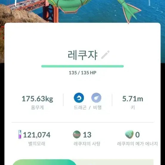 [BUNJANG] Rayquaza San Francisco Background / 샌프란시스코 배경 레쿠자 0.5 판매합니다.