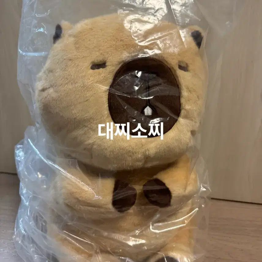 [BUNJANG] Uso Uso-chan Brown 45cm Plush / 속았지 우소우소짱 브라운 45cm