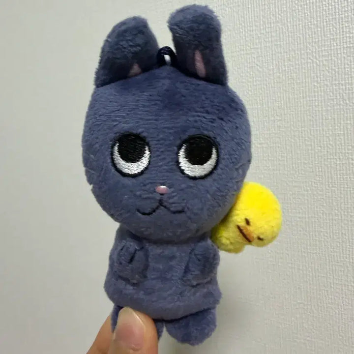[BUNJANG] 10cm Doll / 토냥덕 10cm 급처