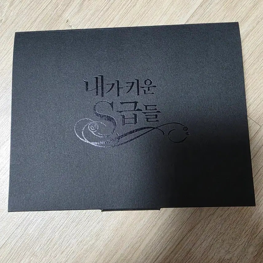 [BUNJANG] I Raised An S-Class Ranker Profile Card Pack / <내가 키운 S급들> 내스급 프로필 카드팩