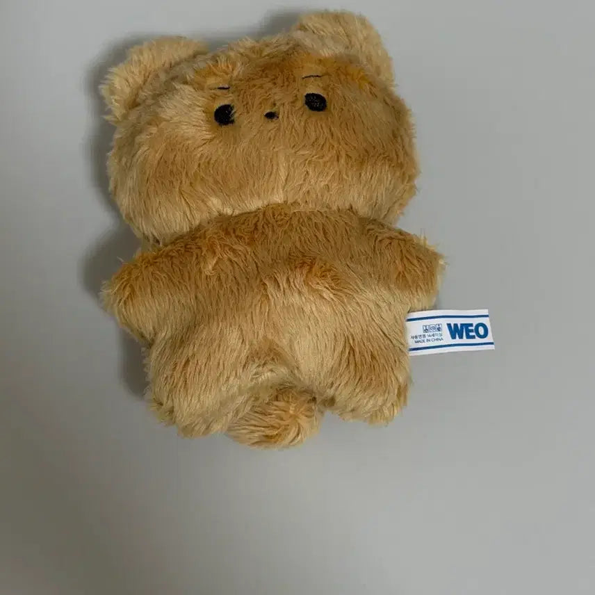 [BUNJANG] The Boyz Hyunjae Dalgom Doll (Unused) / 더보이즈 현재 비공굿 달곰 인형