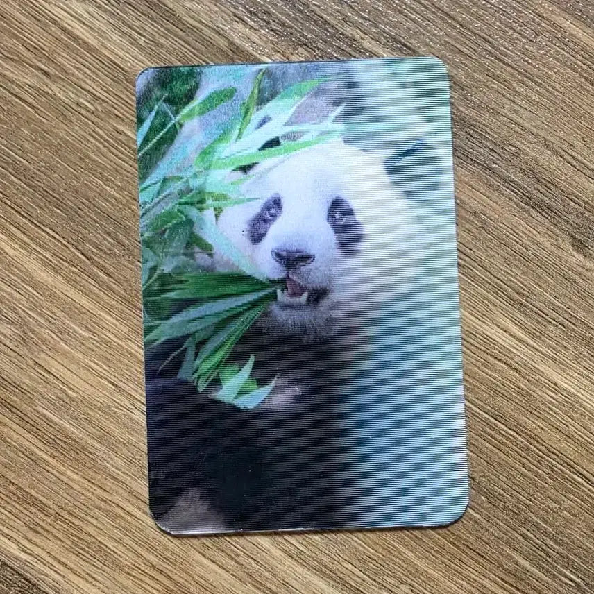 [BUNJANG] Fubao 3D Lenticular Photocard / 보고 있어도 보고싶은 우리 &