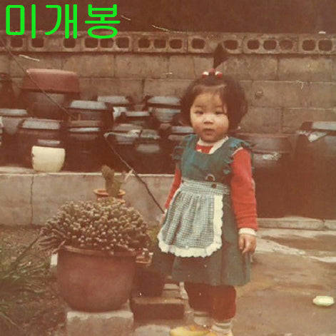 [BUNJANG] Joyul Treasure Ship (Sealed CD) / 조율 (Joyul) - 보물선 (미개봉, CD)