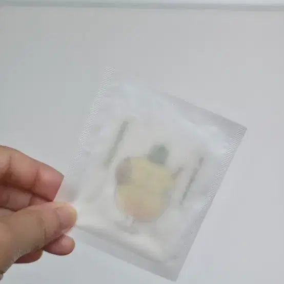 [BUNJANG] Pompompurin Sticker Sheet / 폼폼푸린 띠부실 판매합니다