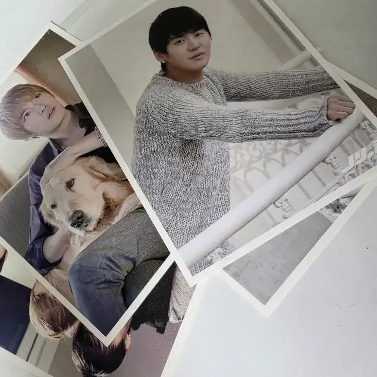[BUNJANG] JYJ Photocard / JYJ photo  card