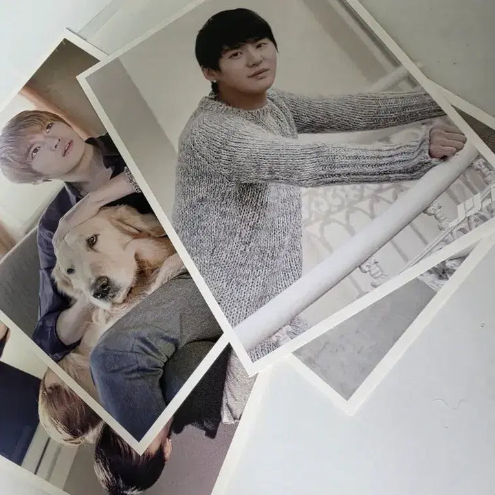 [BUNJANG] JYJ Photocard / JYJ photo  card